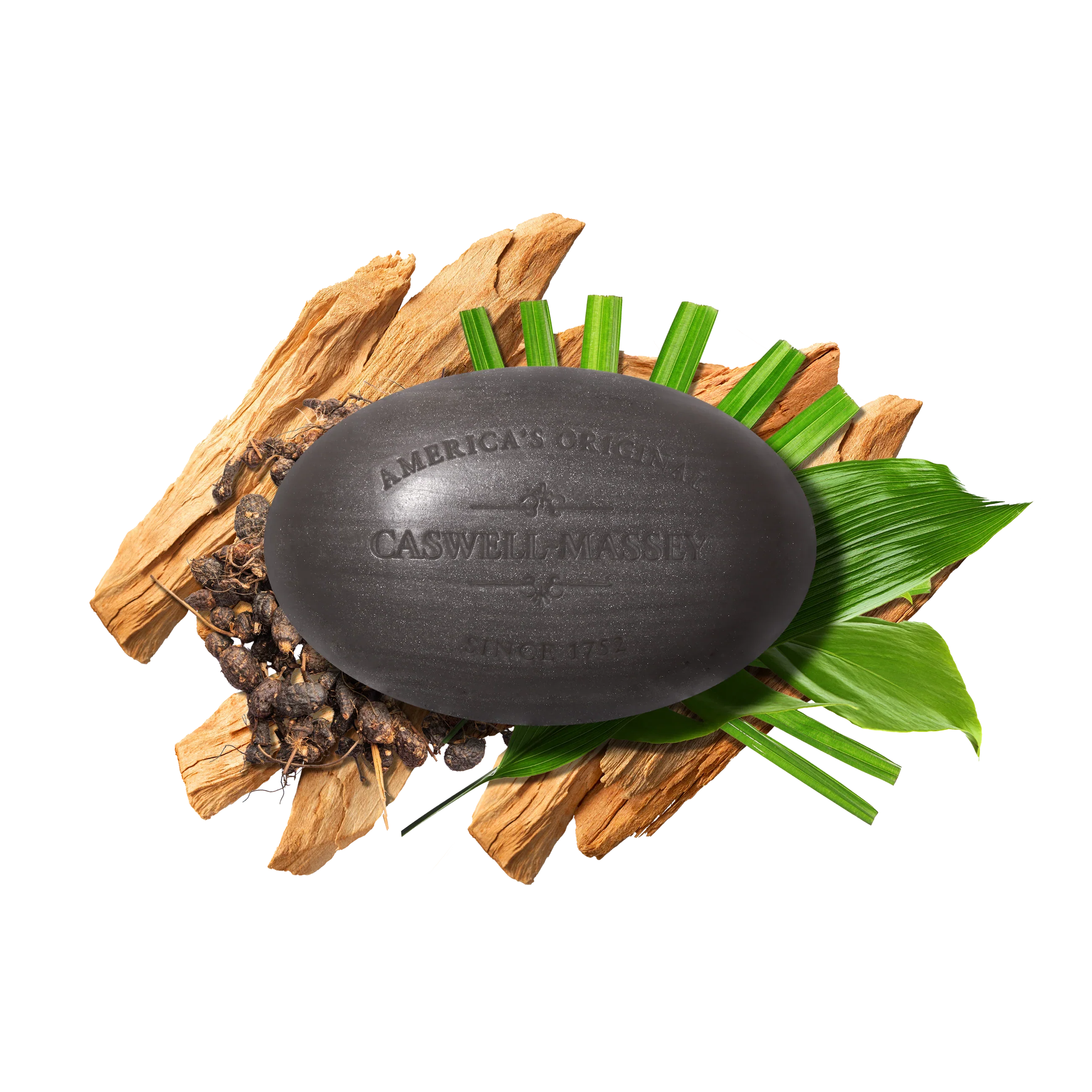 Caswell Massey Sandalwood Bar Soap 5.8oz - Image 4