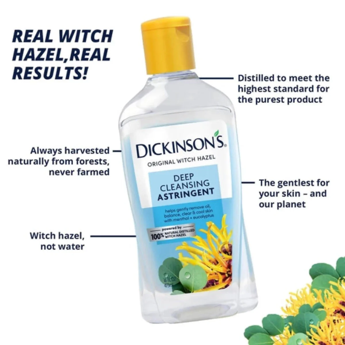 Dickinson's Deep Cleansing Astringent 16oz - Image 3
