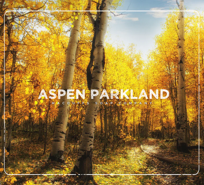 Macduffs Soap Company Aspen Parkland Aftershave Splash 100ml - Image 2